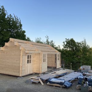 IMG_0423