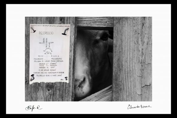 IMG_0465 (5)